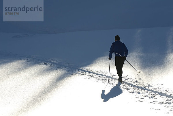 Mitte im Alter Mann Schneeschuhwandern in der Nachmittagssonne  Sun Peaks Resort  British Columbia  Kanada.