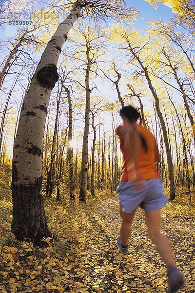 eine junge Frau Trail-Läufer in der Nähe der Basis des Yamnuska Mountain in den kanadischen Rocky Mountains  Alberta  Alberta  Kanada.