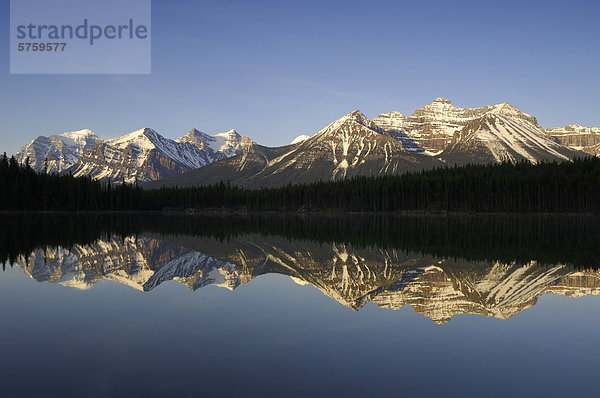 Sonnenaufgang auf dem Bogen und Herbert Lake entlang der Icefields Parkway  Banff Nationalpark  Alberta  Kanada.