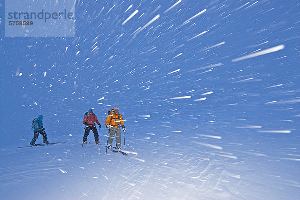 Eine Gruppe von Hinterland Skifahrer in einem Schneesturm auf dem Weg zurück zur Hütte am MacGillivray Pass  Coast Mountains  British Columbia  Kanada.