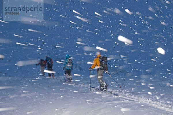 Eine Gruppe von Hinterland Skifahrer in einem Schneesturm auf dem Weg zurück zur Hütte am MacGillivray Pass  Coast Mountains  British Columbia  Kanada.