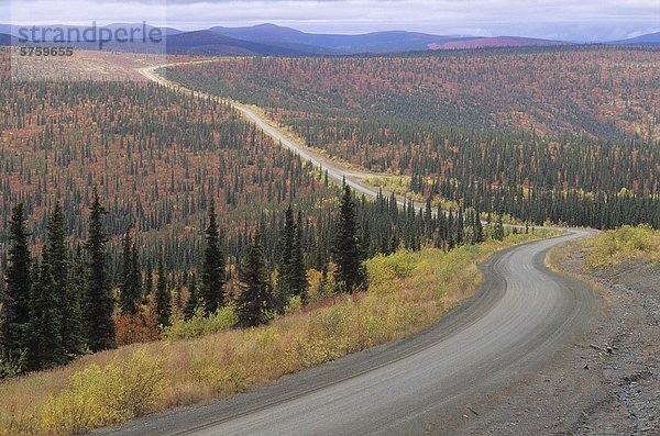 Herbstfarben entlang der World Highway  Yukon Territorium  Kanada.