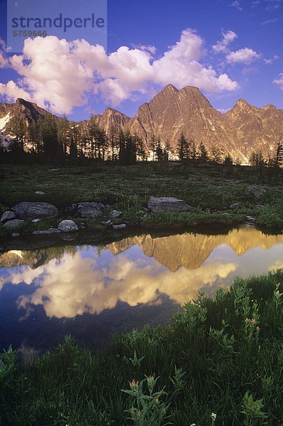 Monica Wiesen  Purcell Mountains  British Columbia  Kanada.