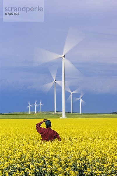 Windturbine Windrad Windräder blühen Feld Bauer Bewegung Ansicht Canola