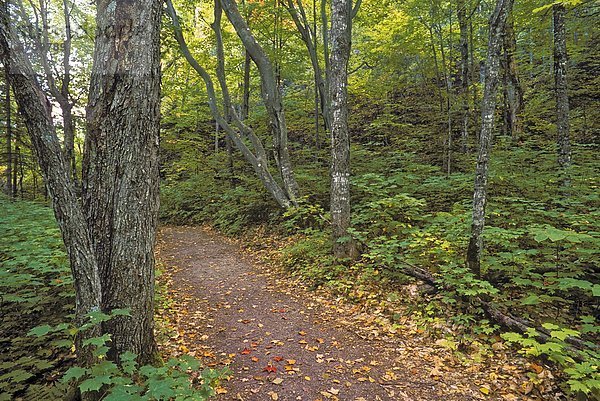 Sommer folgen spät Ereignis schmücken Kanada Quebec