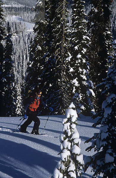 Frau Langlauf in Kootenay Pass  British Columbia  Kanada.