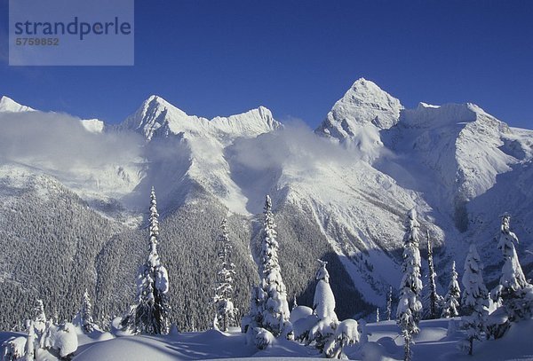 Der Blick von Abbott Ridge im Winter Glacier Nationalpark  British Columbia  Kanada.