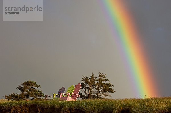 Binnenhafen Veilchen viola Anschnitt Wassertropfen Tropfen nehmen Beleuchtung Licht Himmel nass Brücke bunt rot Regenbogen Meteorologie glänzen Naturerscheinung Atmosphäre Spektralfarbe Sonne