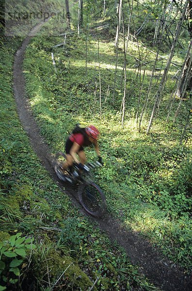 Frau Mountainbike auf Waldweg in Jasper Nationalpark  Alberta  Kanada.