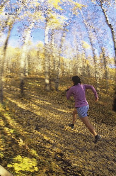 Frau Trail-Läufer in Bow Valley Provincial Park  Alberta  Kanada.