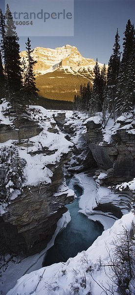 Athabasca Wasserfälle und Mount Kerkeslin  Jasper Nationalpark  Alberta  Kanada.