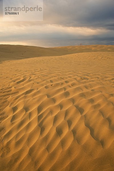 Die große Sandhills nahe Zepter  Saskatchewan  Kanada.
