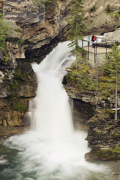 Caucasian Männchen bei Blakiston Falls  Waterton-Lakes-Nationalpark  Alberta  Kanada.