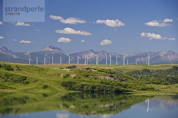 Stromerzeugung Windmühlen in der Nähe von Pincher Creek  Alberta  Kanada.