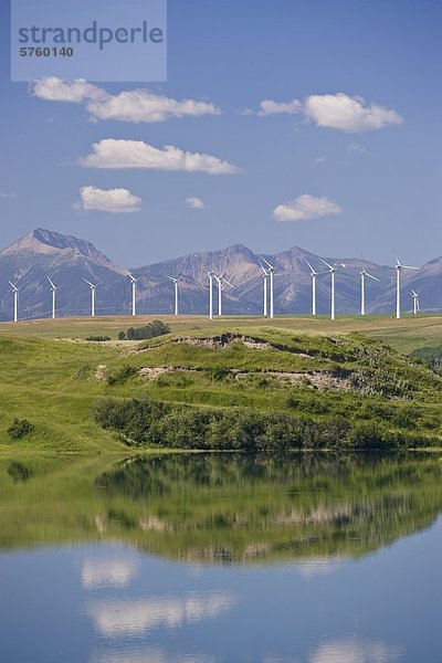 Stromerzeugung Windmühlen in der Nähe von Pincher Creek  Alberta  Kanada.