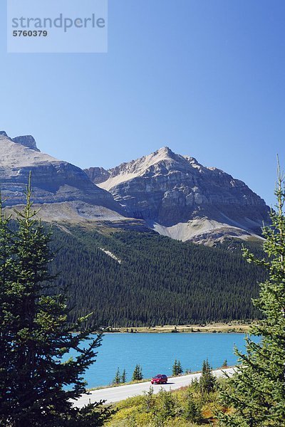 Auto Touren entlang der ganzen Welt berühmte Icefields Parkway am Bow Lake im Banff-Nationalpark in den kanadischen Rocky Mountains  Alberta  Kanada.