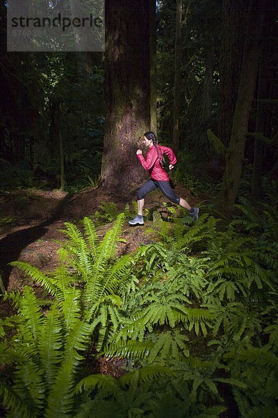 Eine junge Frau Trail-Läufer unter Riesenzedern in Cathedral Grove Provincial Park  Vancouver Island  British Columbia  Kanada