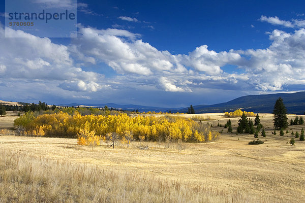 Luftbild von Grasland der kanadischen Provinz British Columbia im Herbst