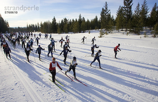 Langlauf-Marathons in 100 Mile House  South Cariboo Region  Britisch-Kolumbien  Kanada