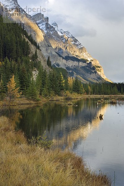 Mount Wilson und die Rampart Teiche im Herbst  Banff Nationalpark  Alberta  Kanada
