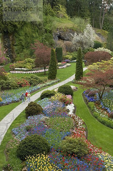 Touristen zu Fuß durch versunkene Garten im Frühling  Butchart Gardens  Victoria  Vancouver Island  British Columbia  Kanada