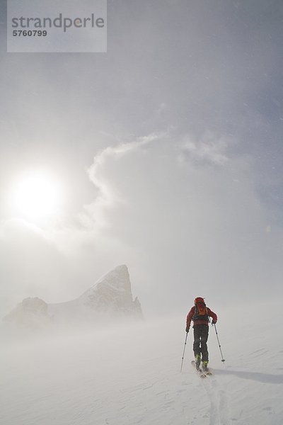 Ein Skifahrer-Uptracking auf den Wapta Eisfeldern  Banff-Nationalpark  Alberta  Kanada