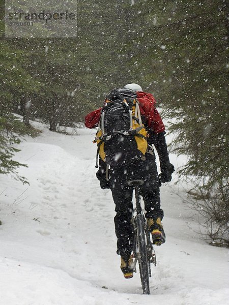 Ein Eiskletterer  Biken  Professor fällt WI 4  Banff Nationalpark  Alberta  Kanada