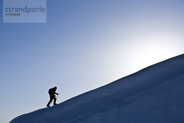 Ein Skifahrer-Uptracking in den frühen Morgenstunden am Rogers Pass  Glacier Nationalpark  British Columbia  Kanada