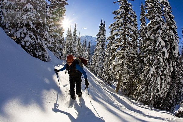 Eine junge weibliche Telemark-Skifahrer-Uptracking in Rogers Pass  Glacier Nationalpark  British Columbia  Kanada