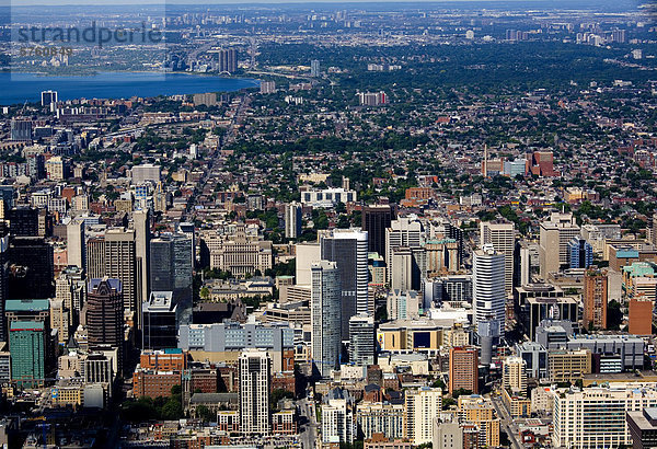Luftaufnahme der Innenstadt von Toronto und Etobicoke  Ontario  Kanada