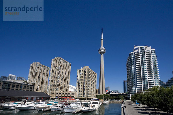 Toronto von Harbourfront  Toronto  Ontario  Kanada