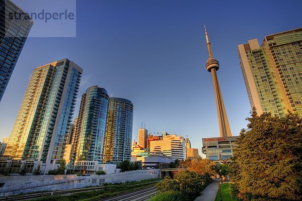 Innenstadt Stadtansicht mit CN Tower  Toronto  Ontario  Kanada