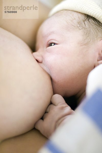 Close-up der 36 Jahre alte Frau Stillen ihre Neugeborenen  Heusenstamm  Quebec  Kanada