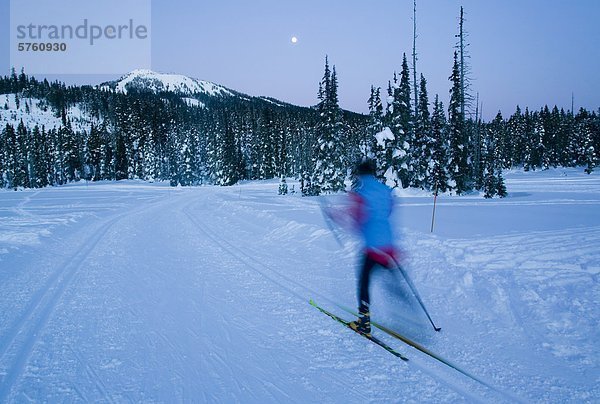 Ein Vollmond und Dämmerung zu ermöglichen  für genügend Licht weiterhin  dass Spuren von Paradise Meadows den Track Skifahren am Mount Washington  Comox Valley  Vancouver Island  British Columbia  Kanada festgelegt werden.