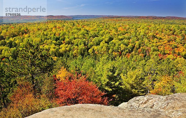 Algonquin Park im Herbst  Blick vom Lookout Trail  Ontario  Kanada