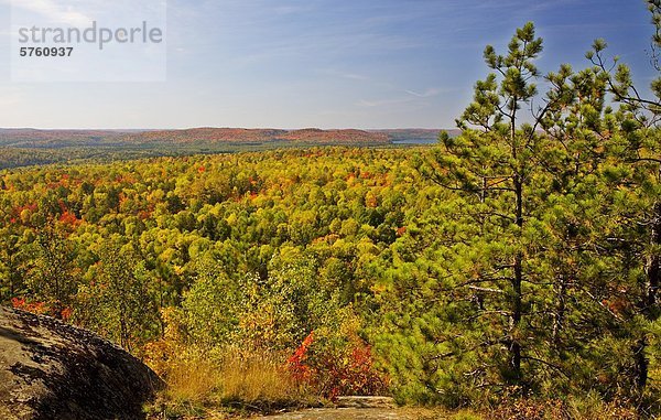 Algonquin Park im Herbst  Blick vom Lookout Trail  Ontario  Kanada