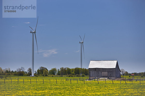 Windturbine Windrad Windräder Freundschaft Ökologie Kanada Ontario Halbinsel
