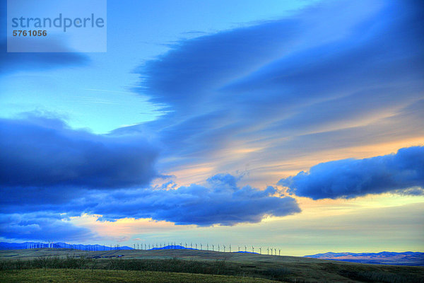 nahe Wolke über hoch oben Bach Königslachs Oncorhynchus tshawytscha Windpark Alberta Kanada