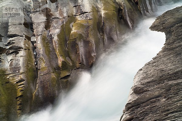 Vermilion River im Kootenay National Park entlang der Floe Lake Trail  British Columbia  Kanada