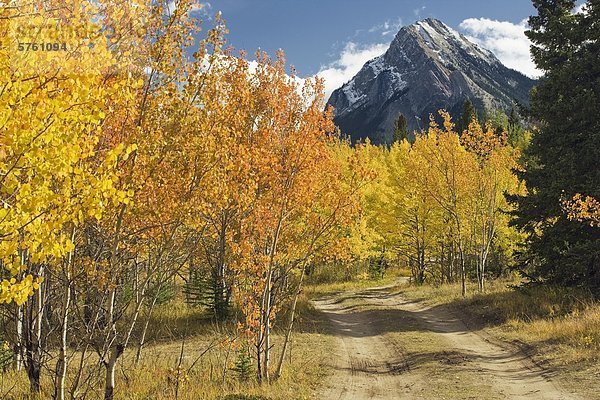 Herbstfarben mit Ex Coelis Berg an Prediger der Punkt  Kootenay Plains  Alberta  Kanada