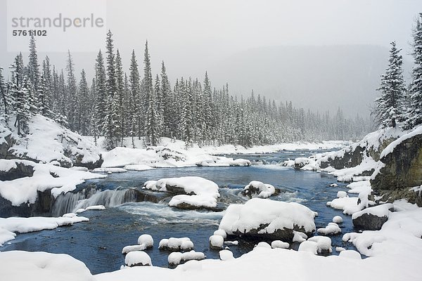 Ellenbogen fällt im Winter  Ellenbogen Falls Provincial Park  Kananaskis Country  Alberta  Kanada