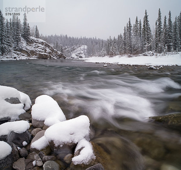 Elbow River nach Neuschnee in Elbow River Provincial Erholungsgebiet  Kananaskis Country  Alberta  Kanada