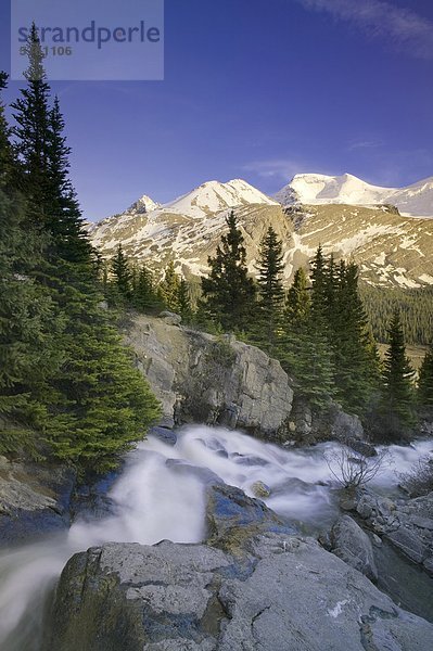 Hilda Peak und Mount Athabasca mit Wilcox Creek  Columbia Icefield  Jasper Nationalpark  Alberta  Kanada