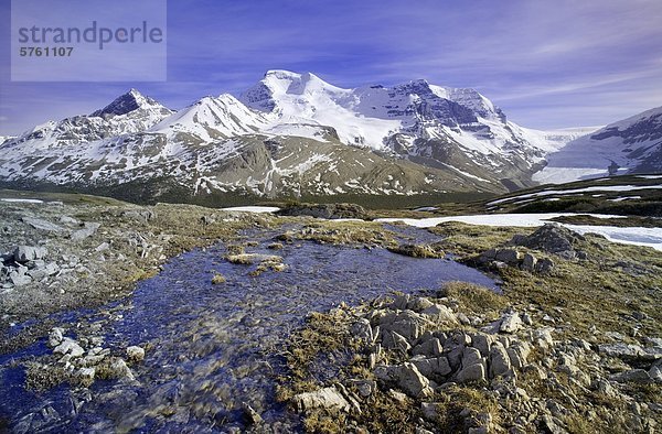 Hilda Peak und Mount Athabasca mit Wilcox übergeben  Columbia Icefield  Jasper Nationalpark  Alberta  Kanada