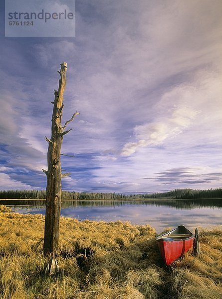 Kanu auf Boggy See nahe Cremona  Alberta  Kanada