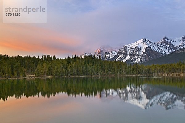 Herbert Lake and the Bow Range  Banff National Park  Alberta  Canada