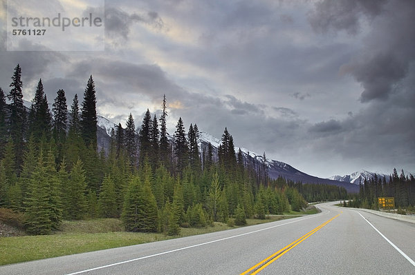 Banff-Windermere Highway (Kootenay Parkway) an das Vermilion Crossing  Kootenay Nationalpark  British Columbia  Kanada