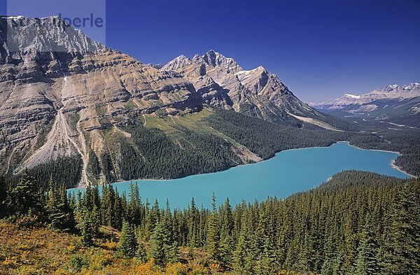 Peyto Lake und das Tal des Mistaya  Banff Nationalpark  Alberta  Kanada