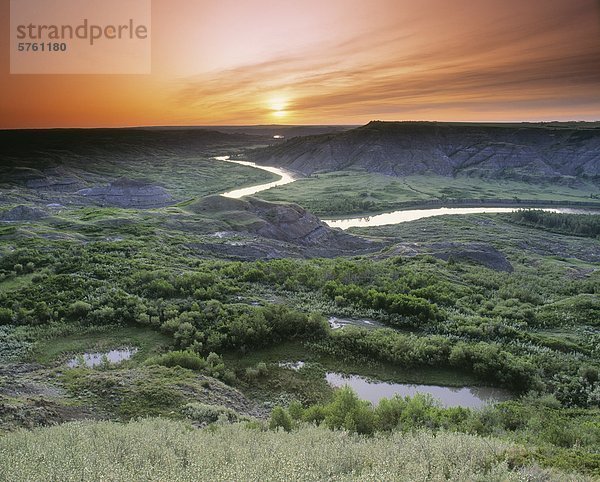 Chemische Island Buffalo Jump Provincial Park  Alberta  Kanada