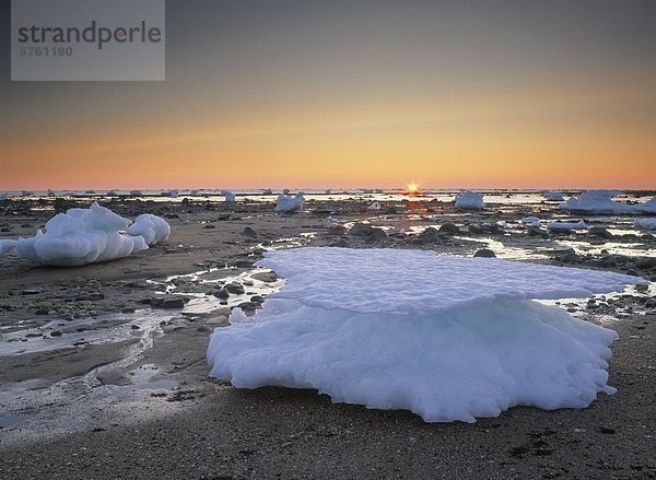 Eisberge und Küste bei Sonnenuntergang  Hudson Bay in Churchill  Manitoba  Kanada